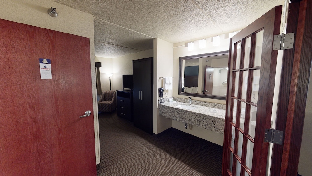 Premier Suite, 1 King Bed, Non Smoking (One-Bedroom Suite) - Photo 4