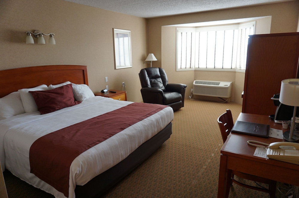 Standard Room, 1 King Bed, Non Smoking