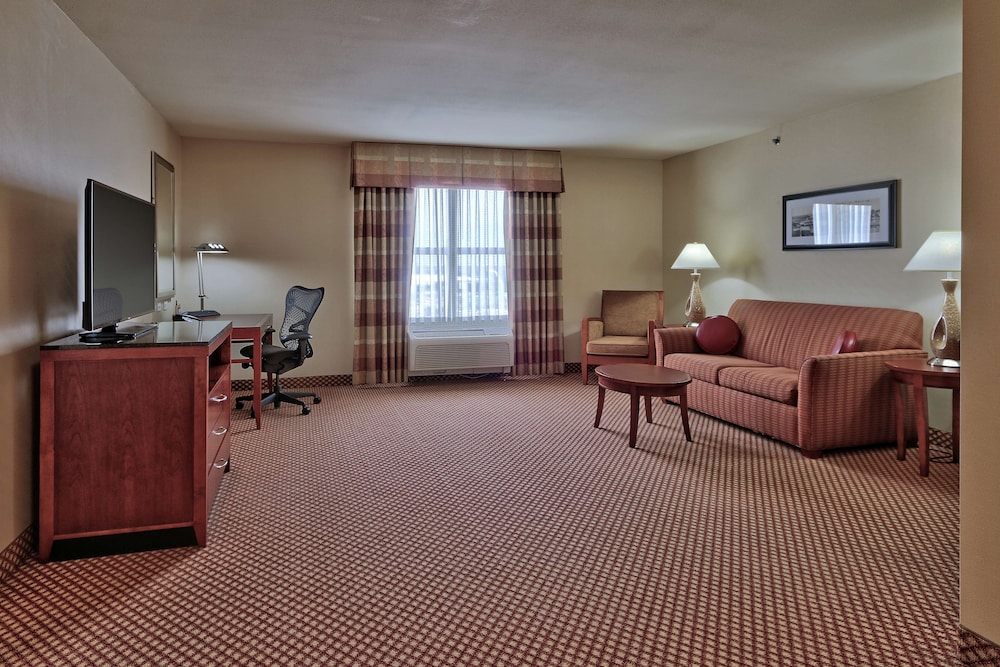 Suite, 1 King Bed, Accessible - Photo 1