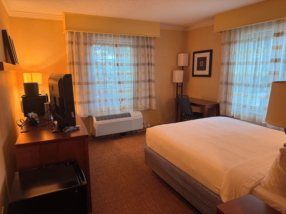 Deluxe Single Room photo 3