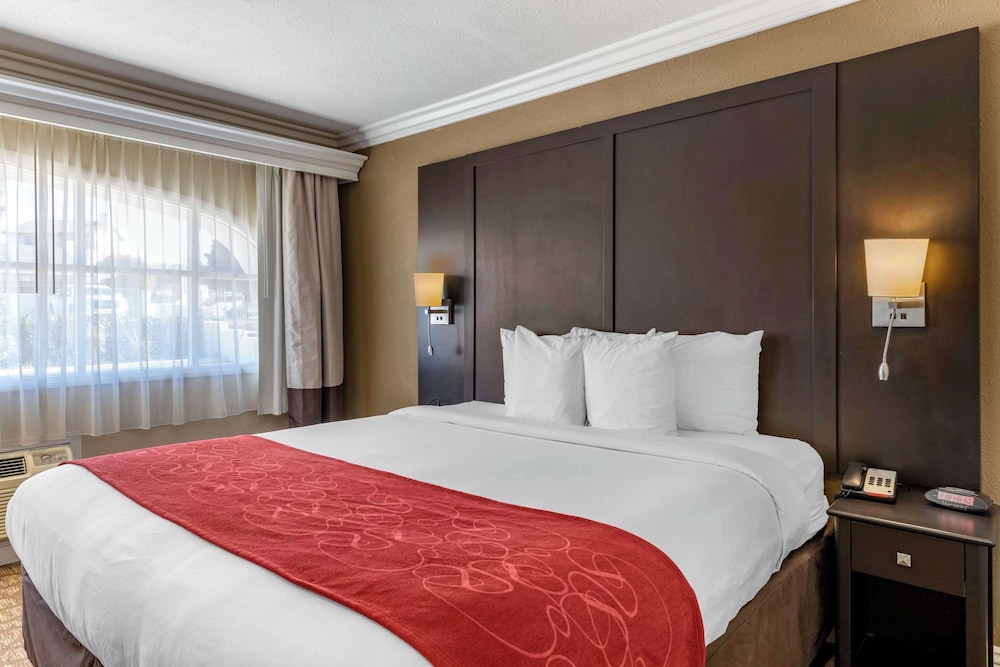 Suite, 1 King Bed with Sofabed, Non Smoking - Photo 12