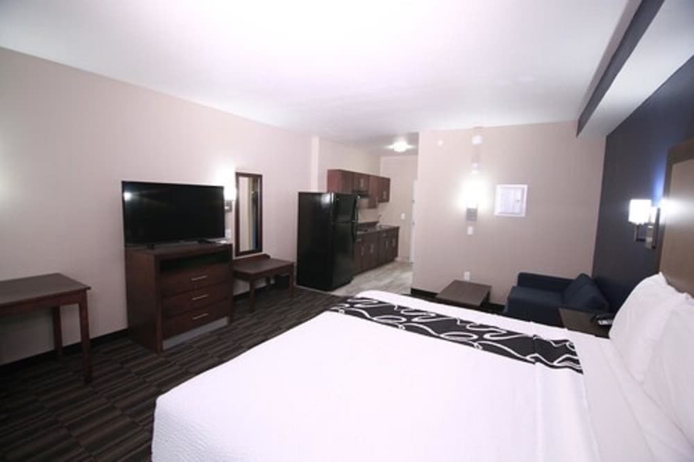 Suite, 1 King Bed, Accessible photo 1