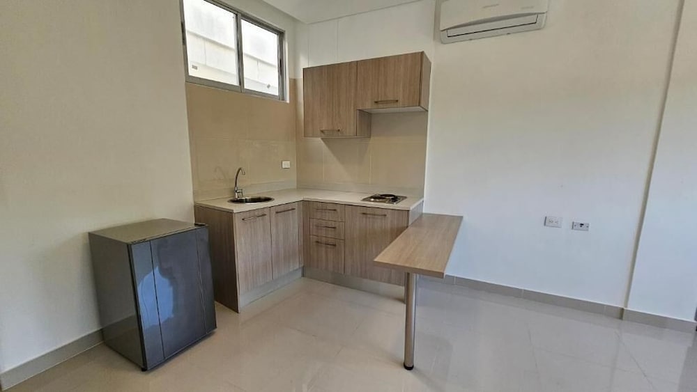 Standard Apartment photo 3