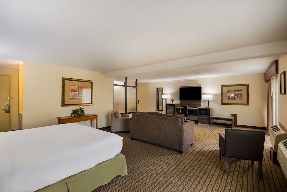 Suite, 1 King Bed, Non Smoking, Patio photo 3