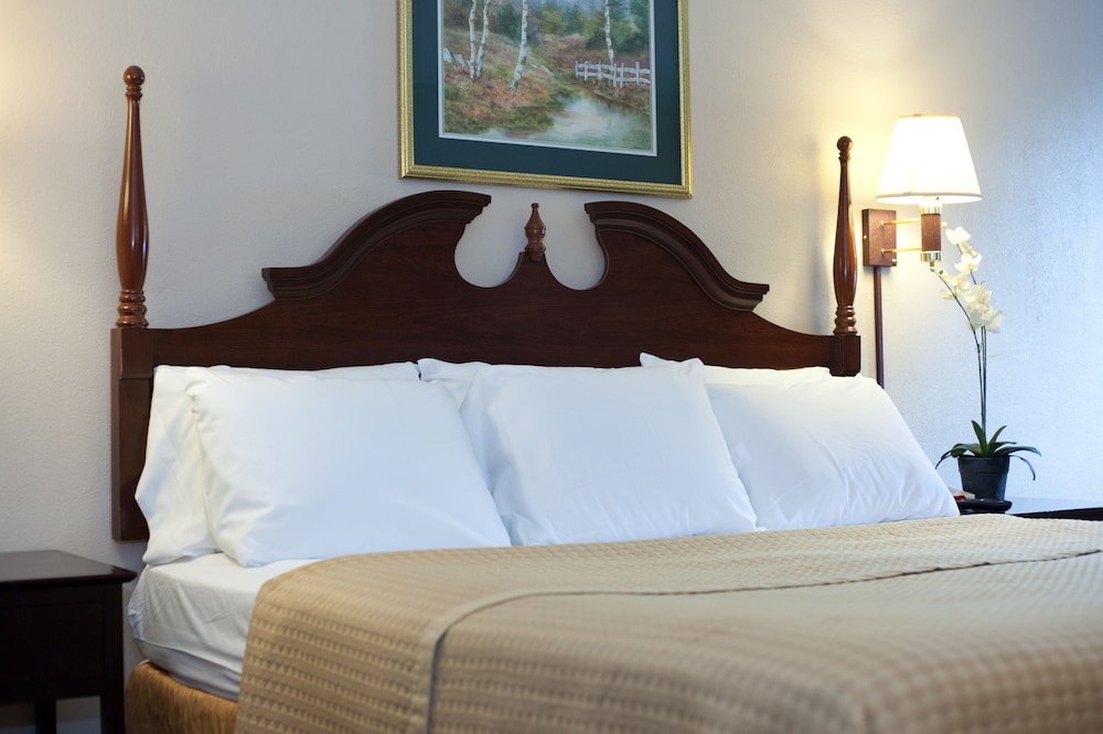 Standard Room, 1 King Bed, Non Smoking photo 1