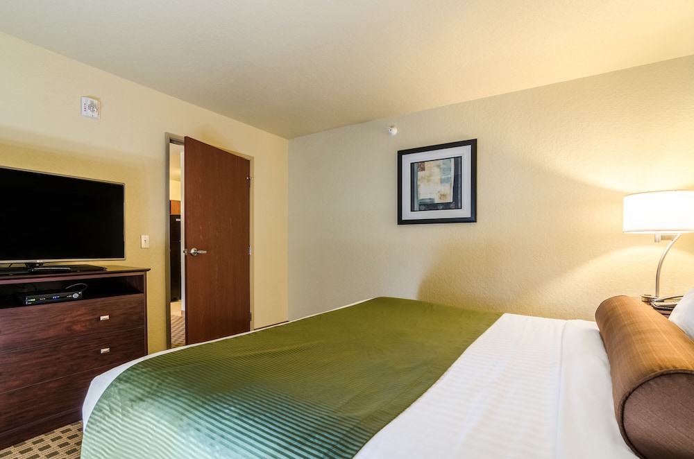 Suite, King Bed with Sofa Bed, Accessible Roll in Shower, Non Smoking photo 3