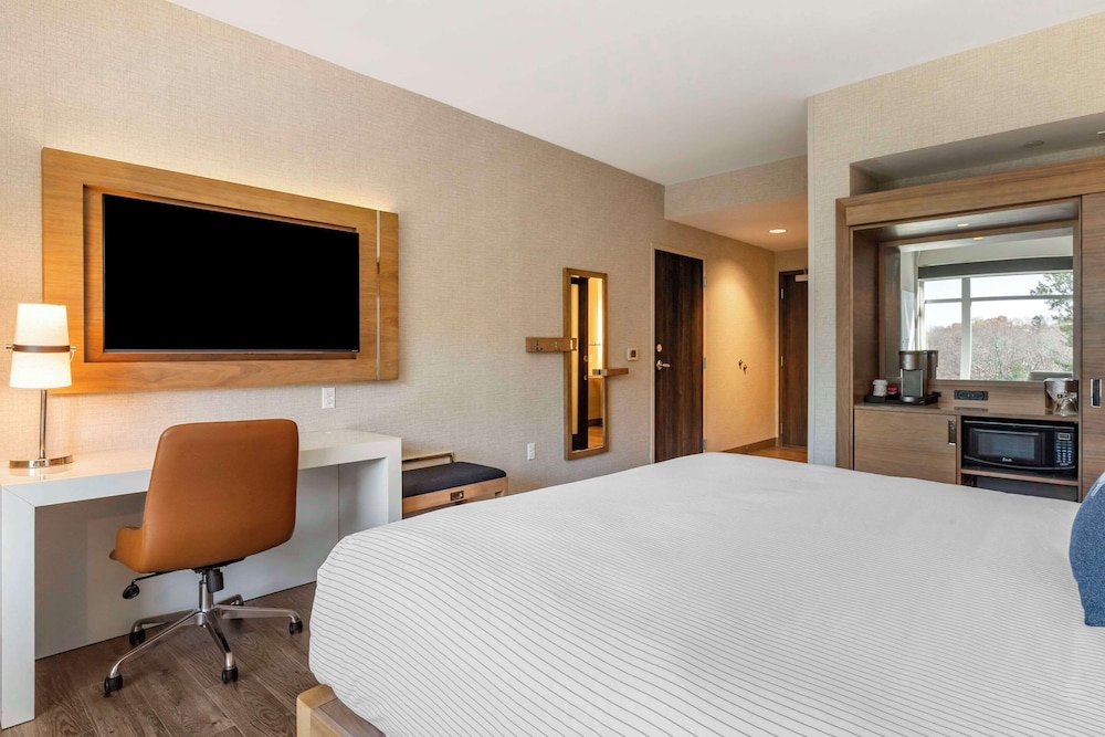 Room, 1 King Bed, Non Smoking - Photo 4
