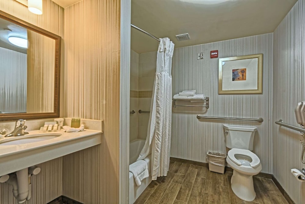 Room, 1 King Bed, Accessible - Photo 4