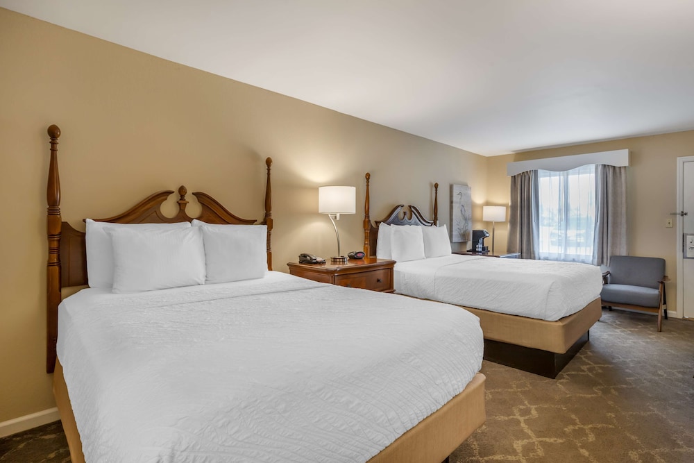 Standard Room, 2 Queen Beds, Non Smoking, Refrigerator & Microwave photo 3