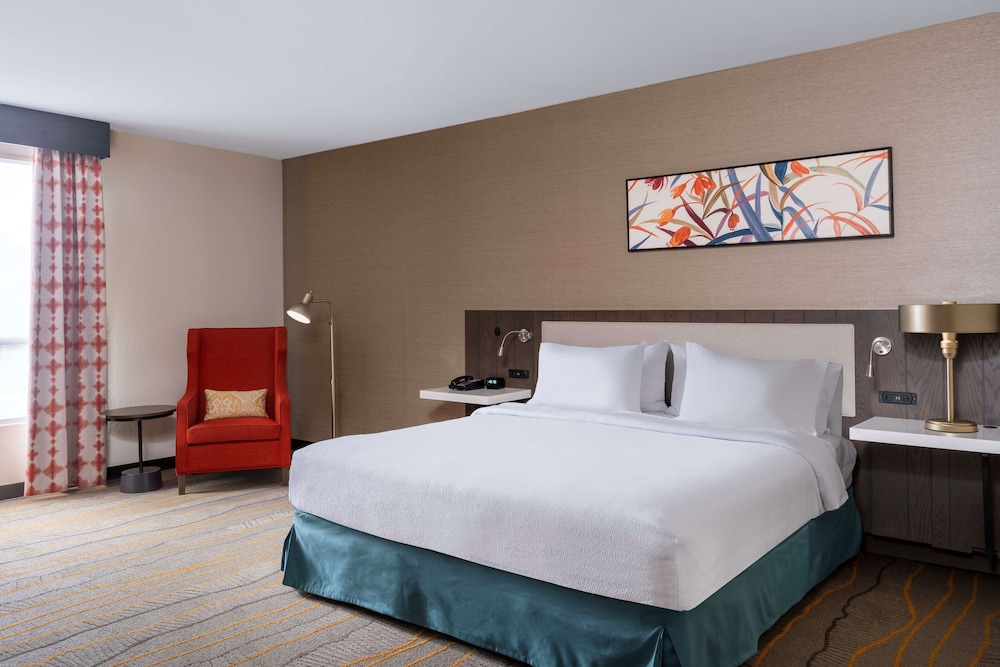 Room, 1 King Bed (Roll-In Shower, Mobility/Hearing) - Photo 4