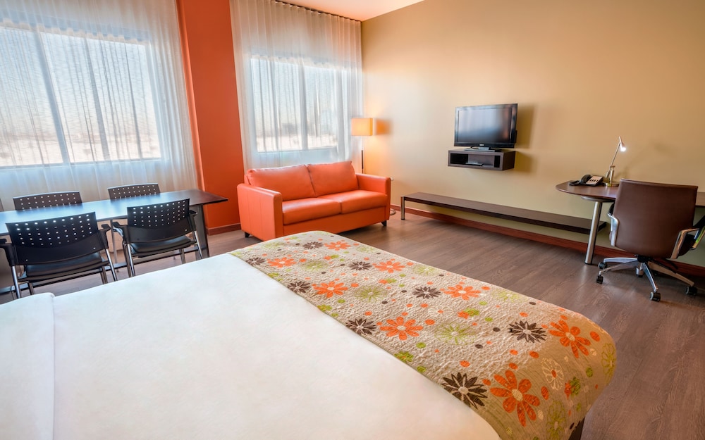 Studio, 1 Queen Bed, 1 Murphy Bed and 1 Sofa Bed