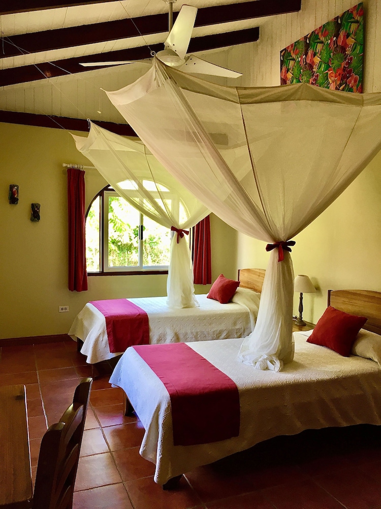 Deluxe Suite, 1 Bedroom, Partial Ocean View photo 3