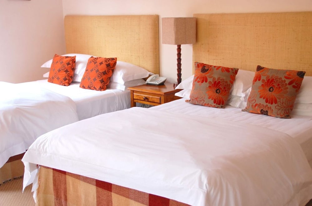 Deluxe Room (Africa)
