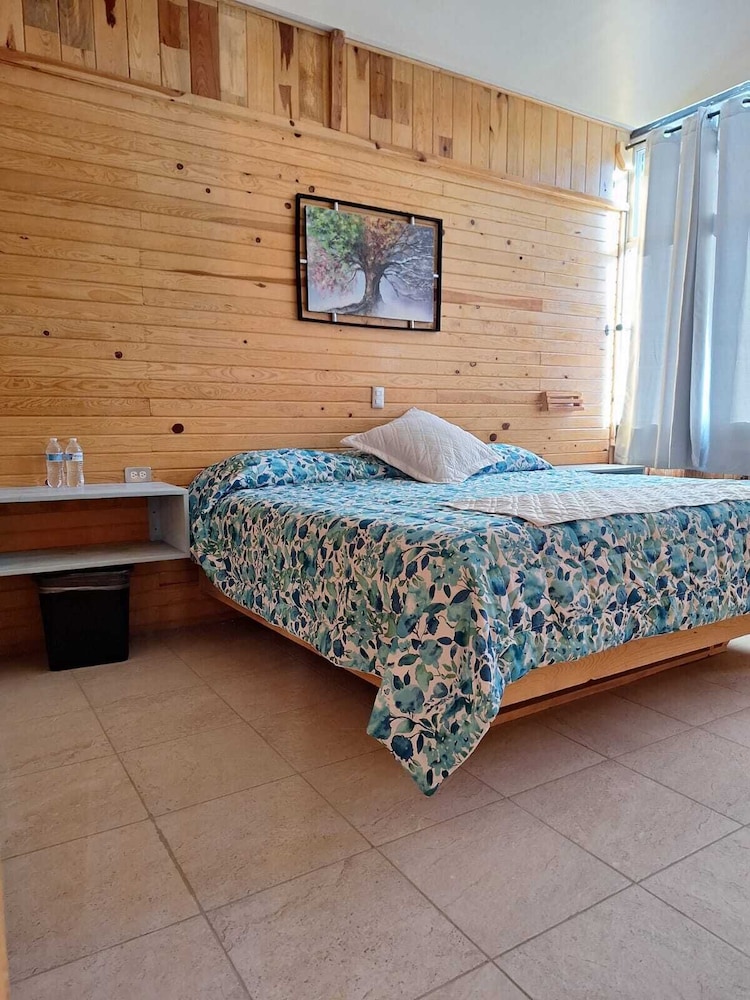 Standard Single Room photo 2