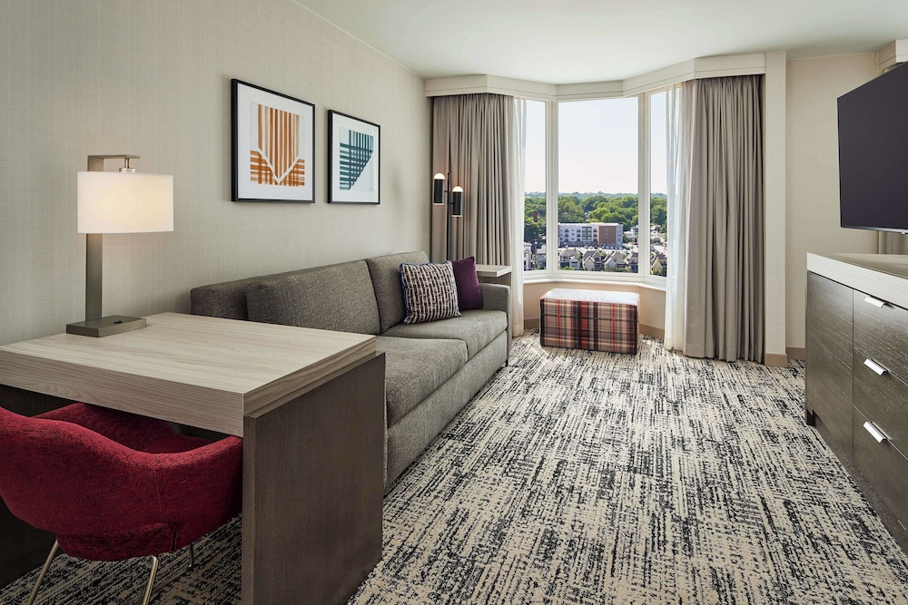 Studio Suite, 1 King Bed (Hearing Accessible) - Photo 3
