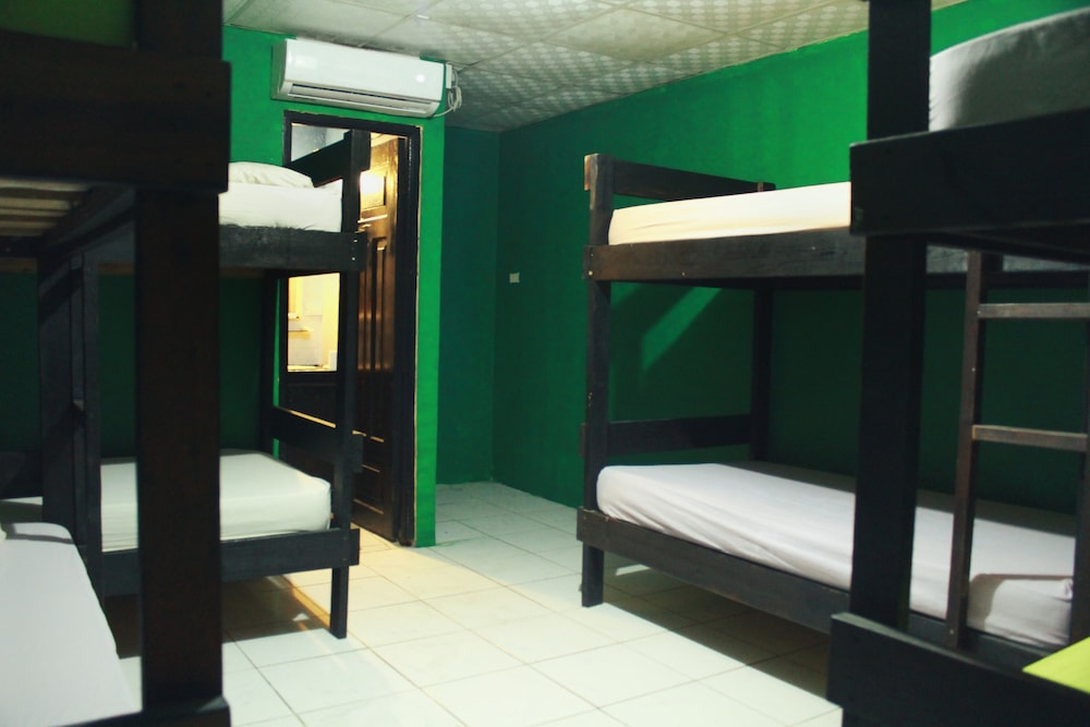 Basic Shared Dormitory photo 1