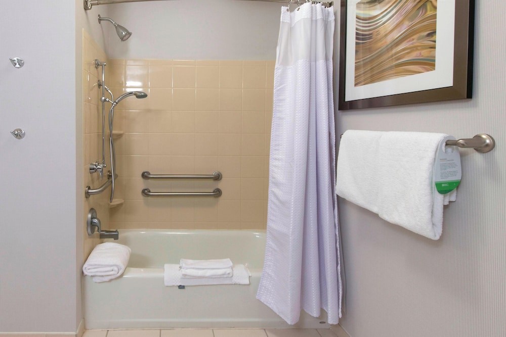 Room, 1 King Bed with Sofa bed (Mobility/Hearing Accessible, Tub)