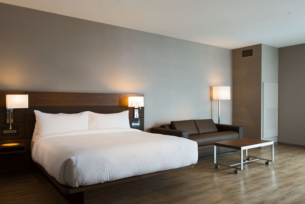 Room, 1 King Bed with Sofa bed (Mobility Accessible, Roll-In Shower)