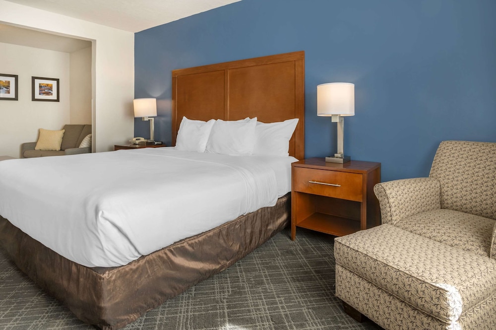 Suite, 1 King Bed with Sofa bed, Non Smoking