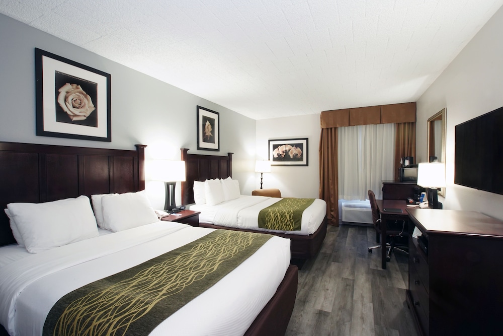 Standard Room, 2 Queen Beds, Non Smoking, Refrigerator & Microwave - Photo 8