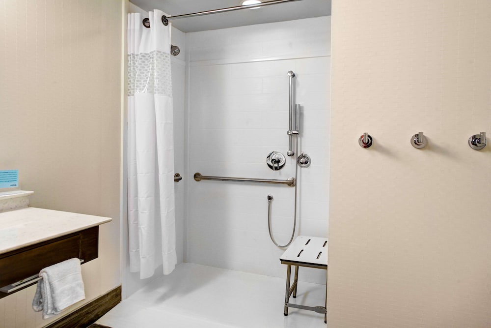 Studio, 1 King Bed, Accessible, Non Smoking (Roll In Shower) photo 3