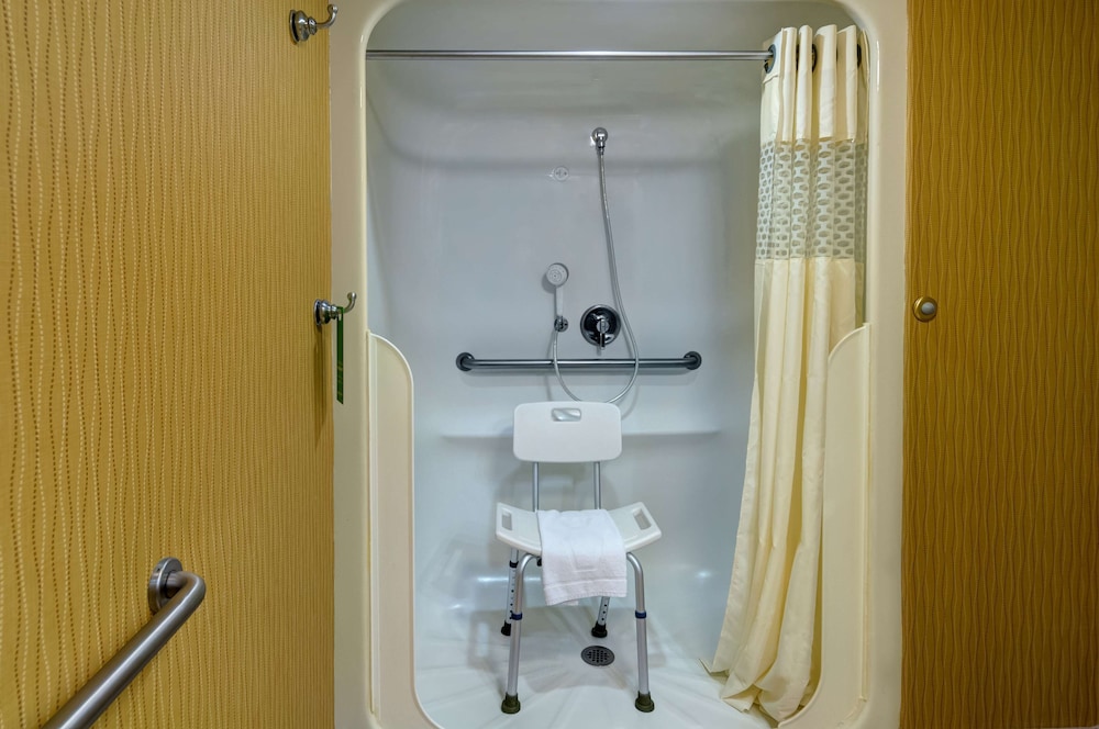 Room, 1 King Bed, Accessible (Roll-In Shower) - Photo 2