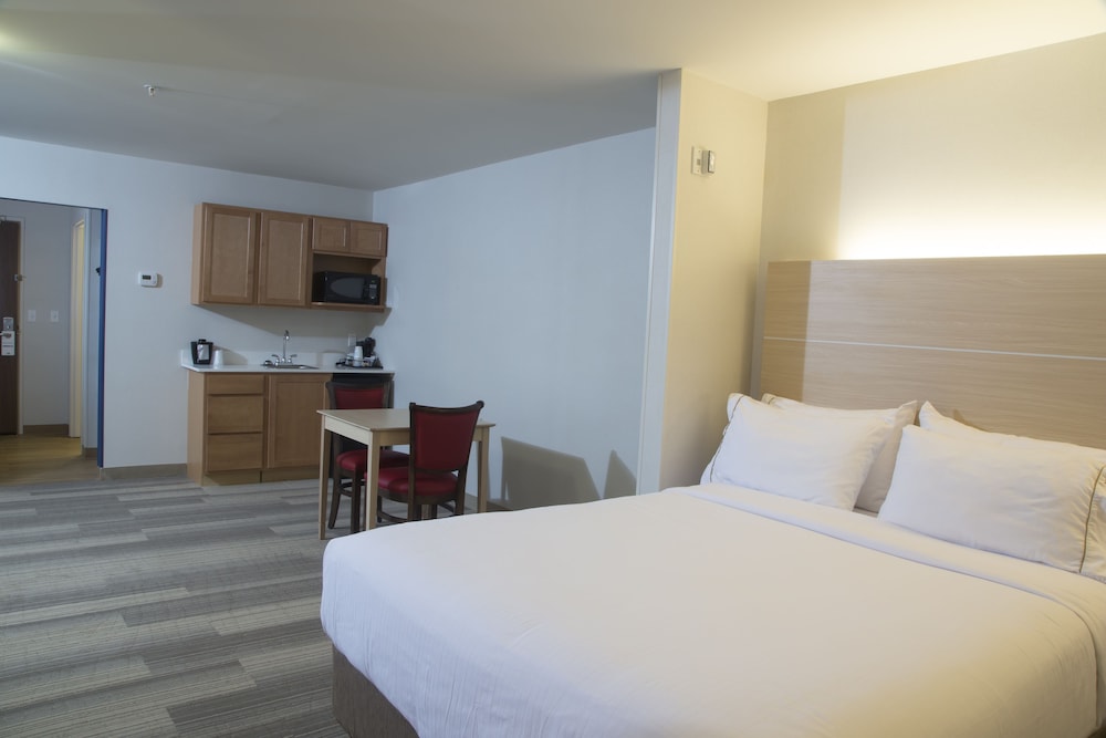 Suite, 1 King Bed photo 2
