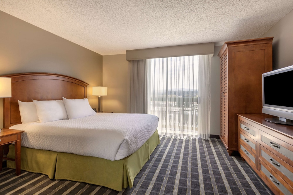 Room, 1 King Bed, Non Smoking, Lagoon View