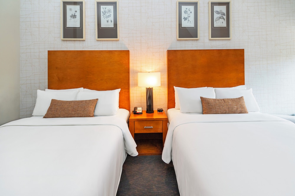 Premium Room, 2 Queen Beds