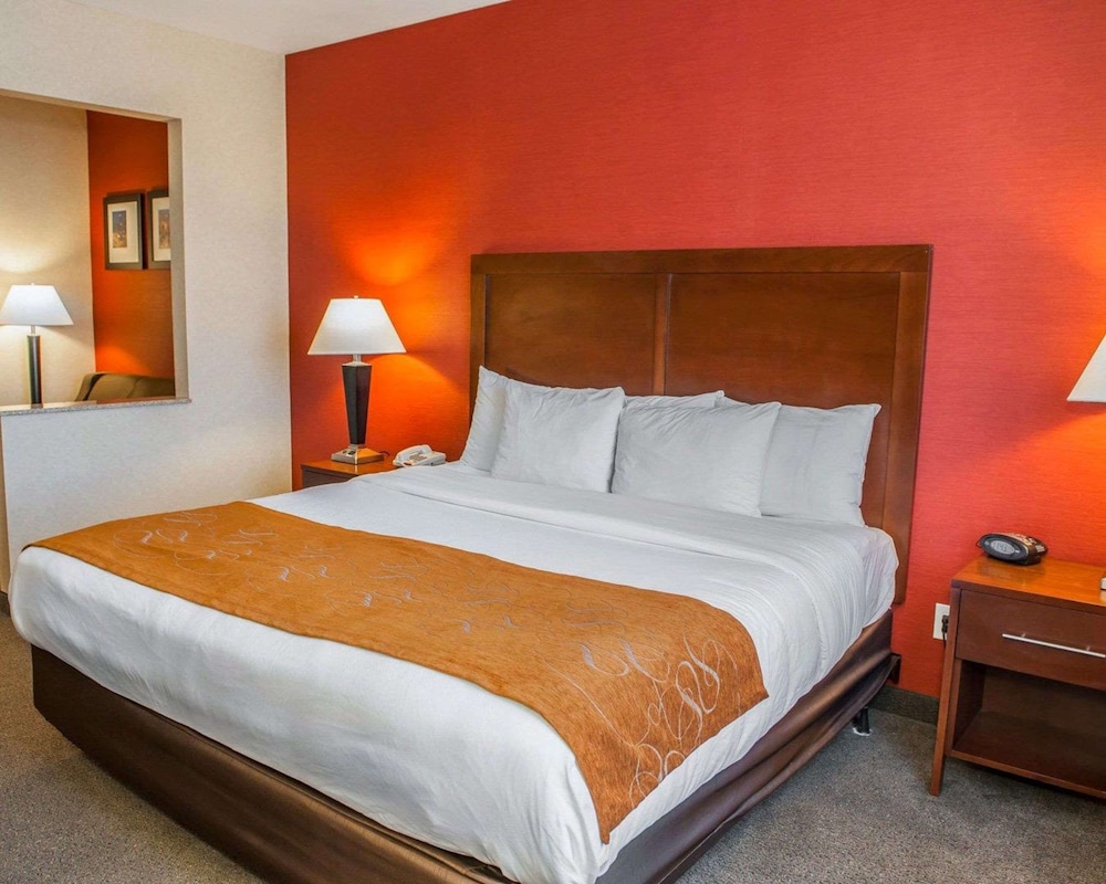 Suite, 1 King Bed With Sofa Bed, Accessible, Non Smoking photo 1