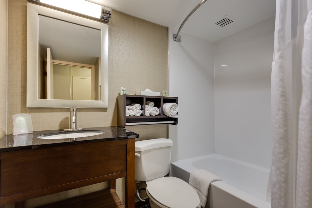 Room, 1 King Bed, Mobility Accessible (Roll-in Shower) - Photo 3