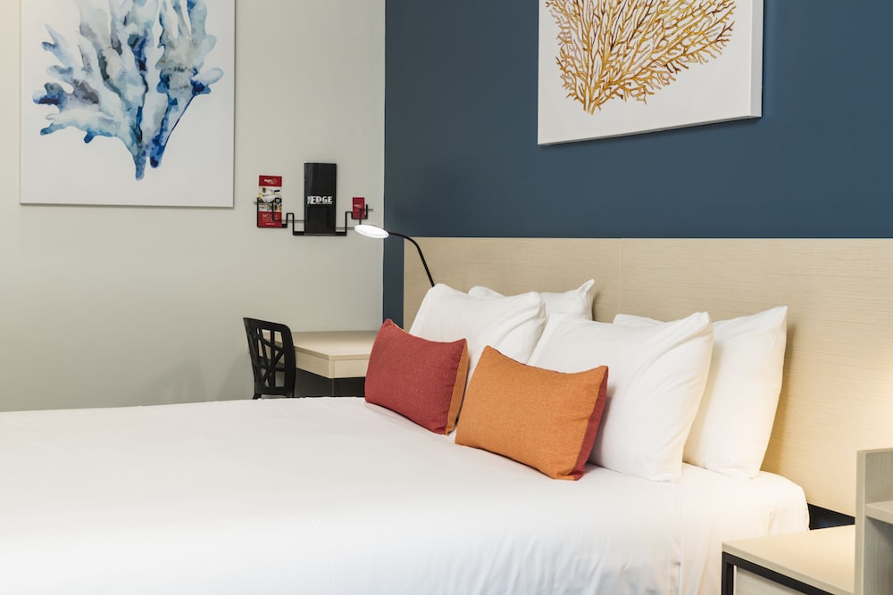 Standard Studio, 1 Queen Bed photo 3