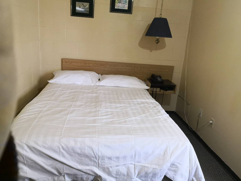 Basic Single Room, 1 Large Twin Bed, Non Smoking photo 1