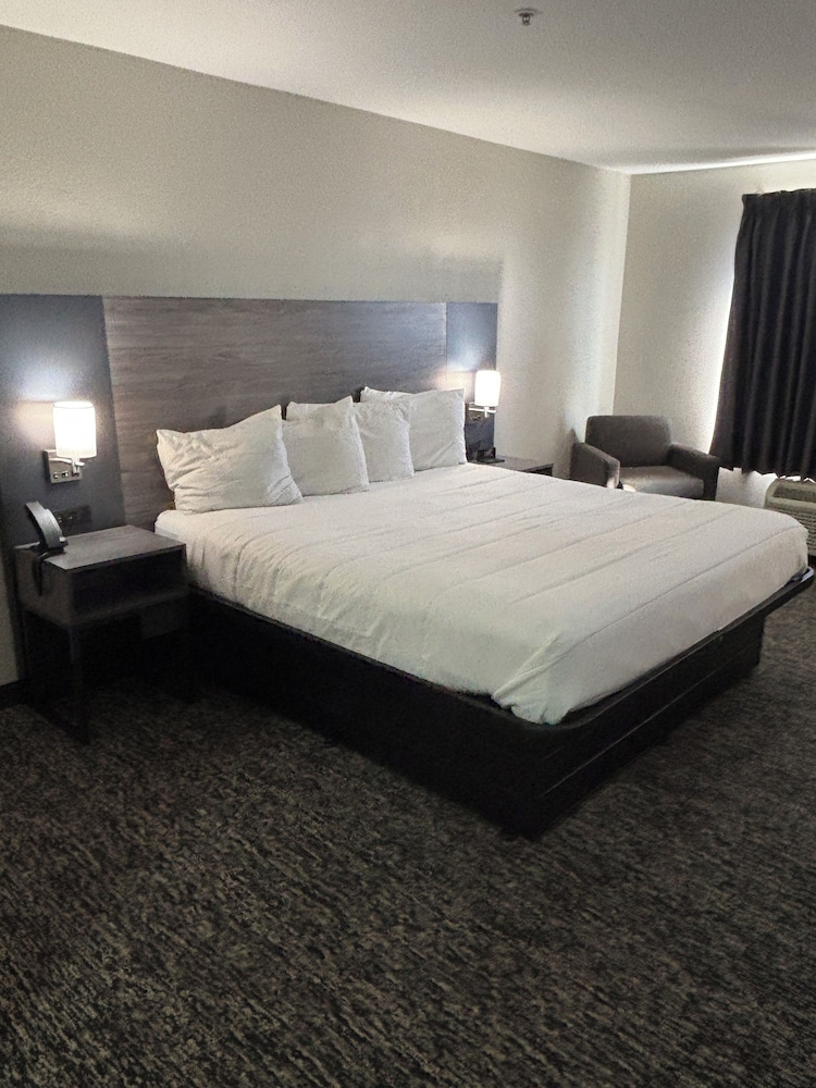 Room, 1 King Bed