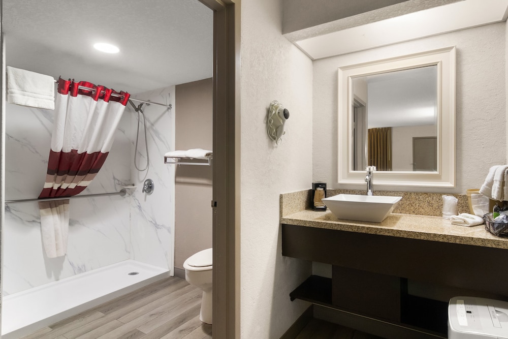 Deluxe Room, 1 Queen Bed, Accessible, Non Smoking - Photo 9