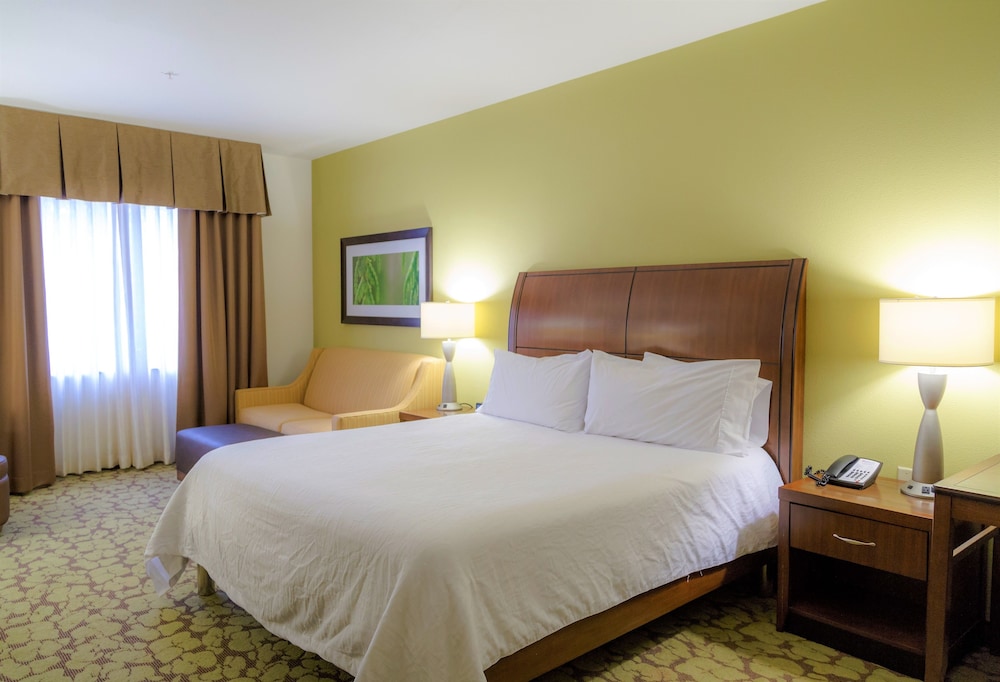 Room, 1 King Bed with Sofa bed (Larger Room)