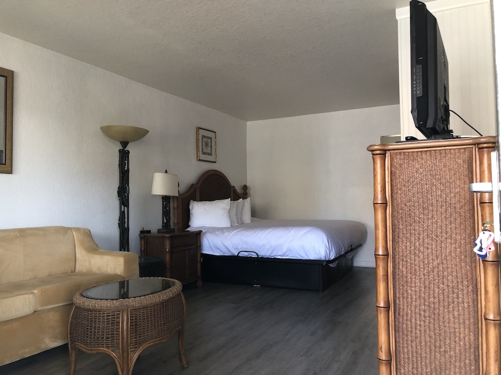 Classic Studio, 1 King Bed with Sofa bed photo 2