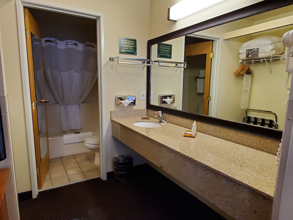 Suite, 1 Bedroom, Non Smoking - Photo 13