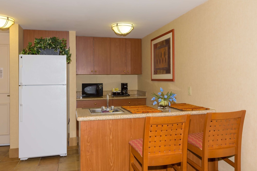 Deluxe Suite, 1 King Bed, Accessible (Roll-In Shower) - Photo 5