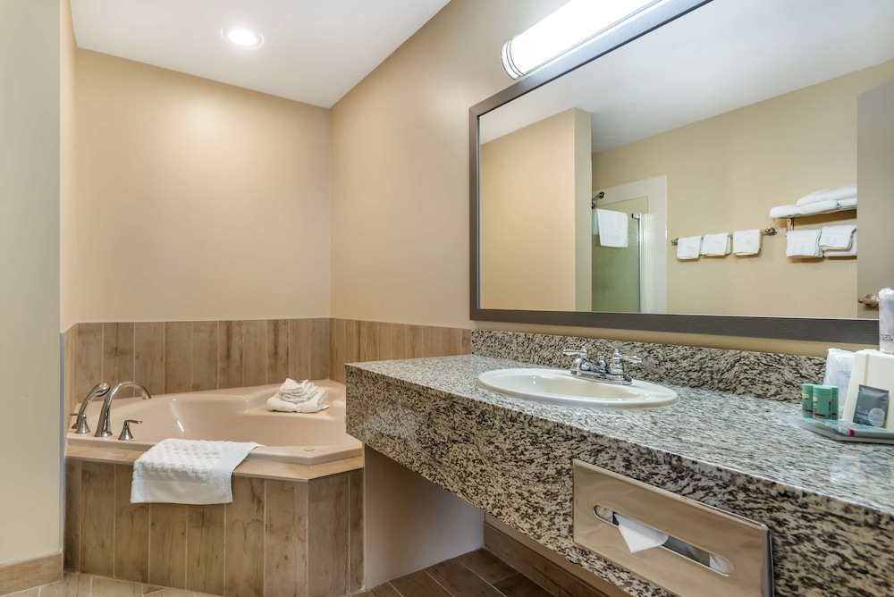 Suite, 1 King Bed, Non Smoking, Jetted Tub (with Sofabed) - Photo 7
