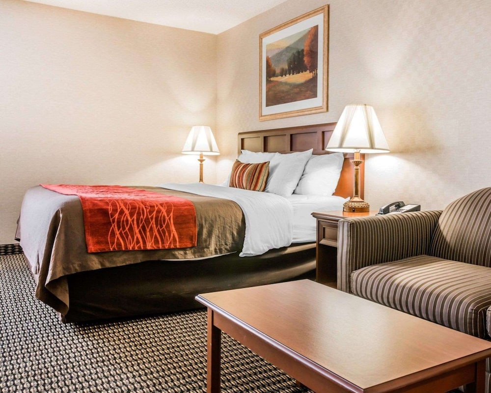 Standard Room, 1 King Bed With Sofa Bed, Non Smoking photo 1