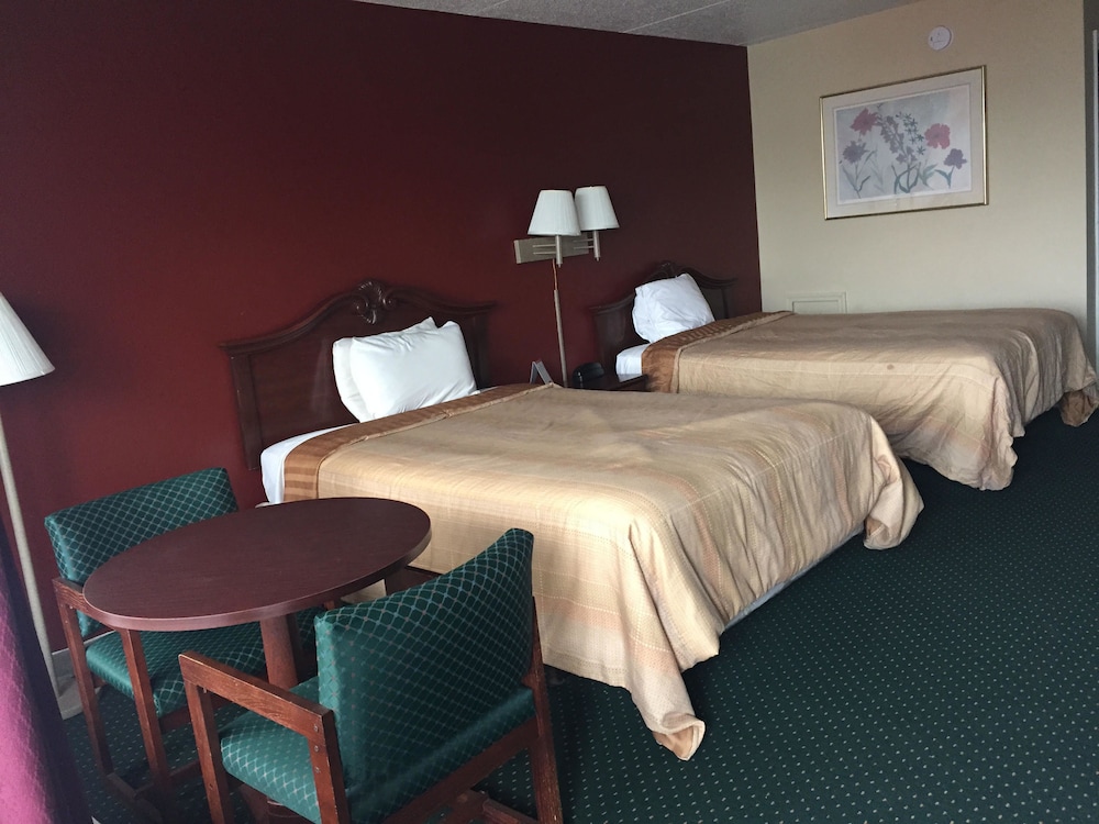 Jacuzzi Suite photo 1