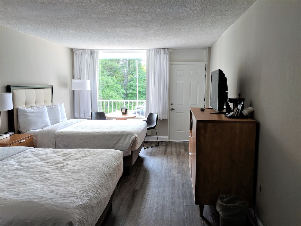 Room, 2 Queen Beds, Courtyard Area - Photo 1