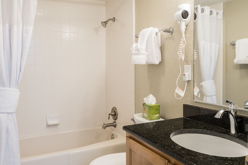 Suite, 2 Bedrooms, 2 Bathrooms photo 3