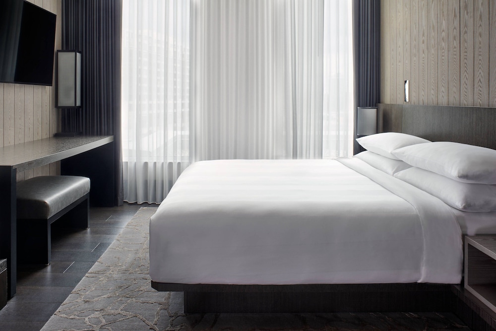 Suite, 1 King Bed with Sofa bed
