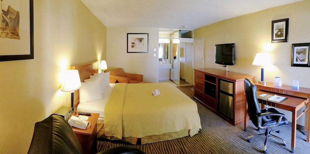 Executive Room, 1 King Bed, Non Smoking, Courtyard Area - Photo 5
