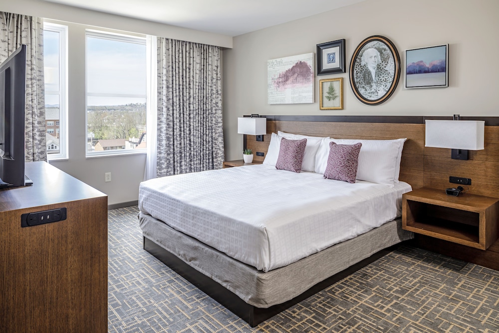 Suite, 1 Bedroom photo 2