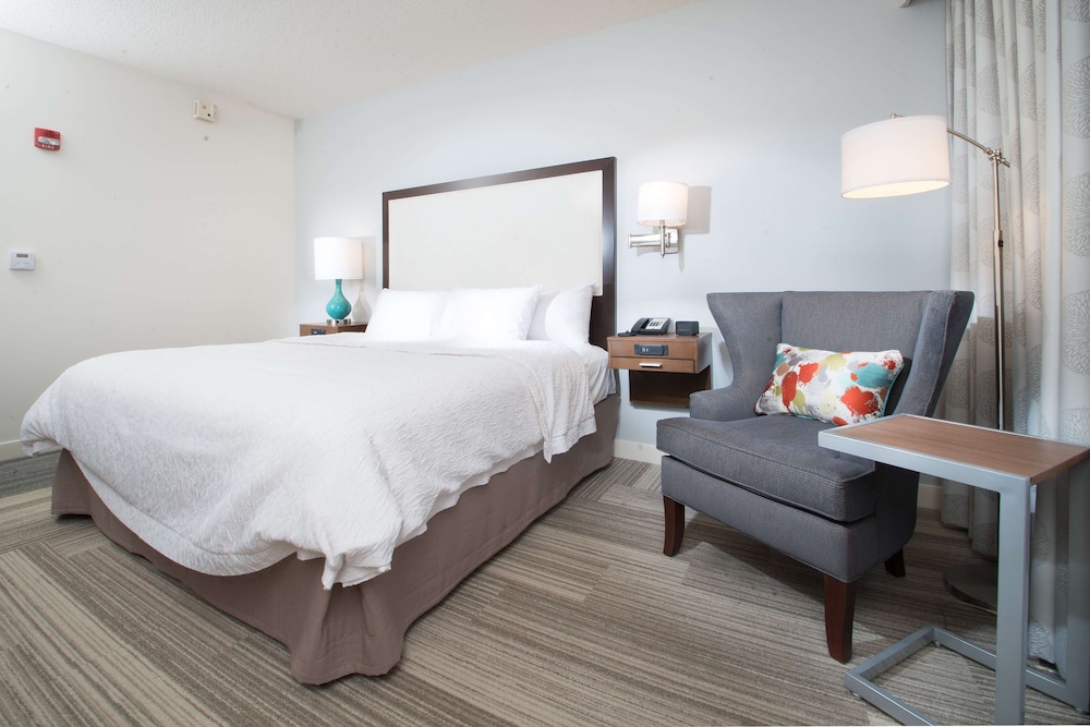 Room, 1 King Bed, Accessible, Non Smoking (Bathtub) - Photo 1