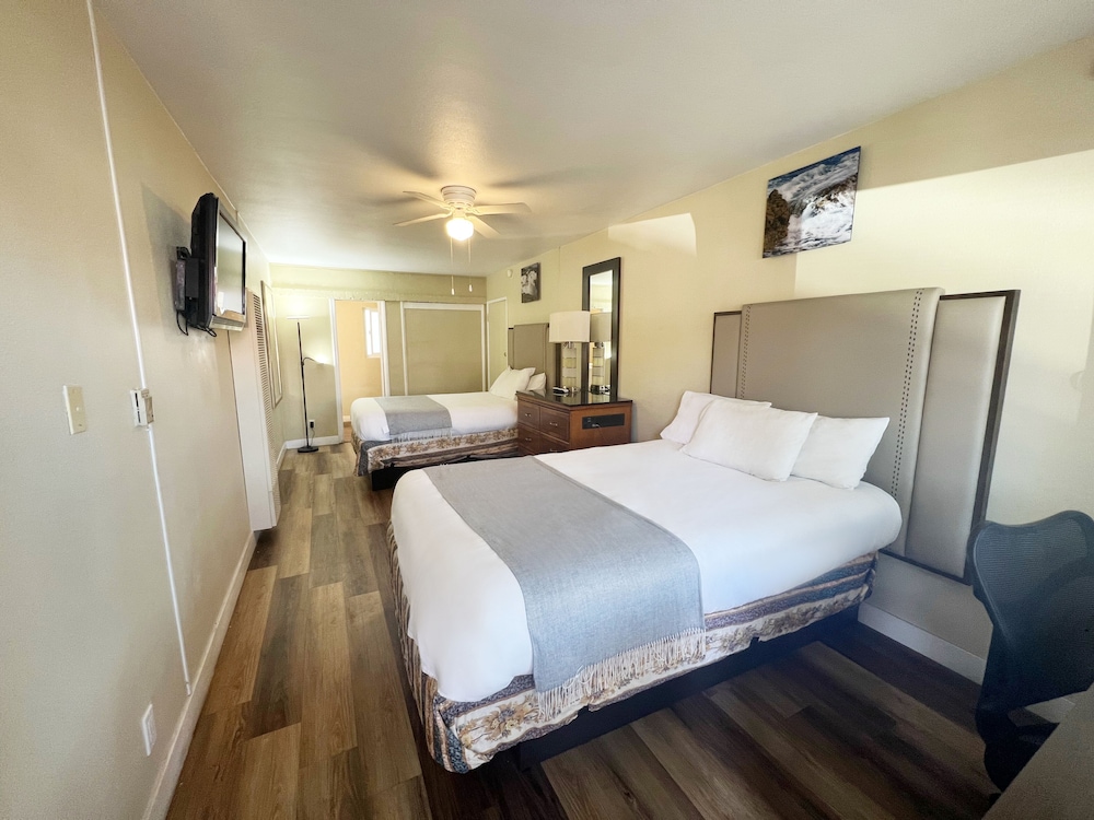 Deluxe Suite, Private Bathroom (2 Queen Studio) photo 1