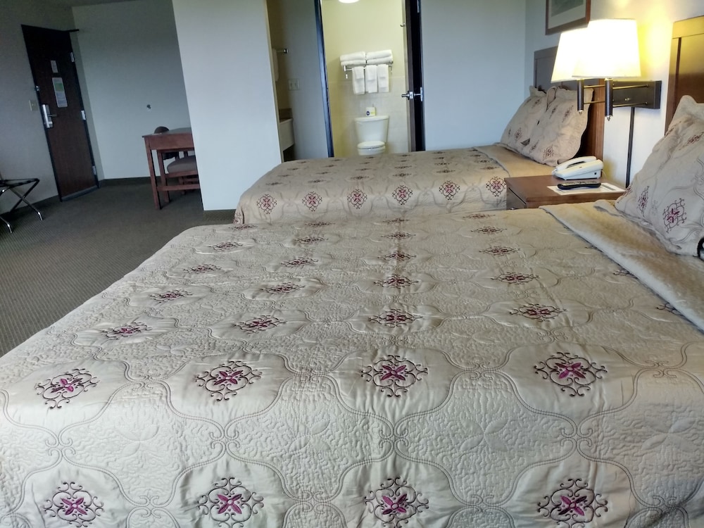 Executive Room, Multiple Beds